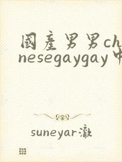 国产男男chinesegaygay中国帅哥网站