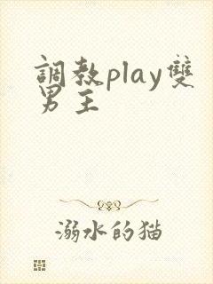 调教play双男主