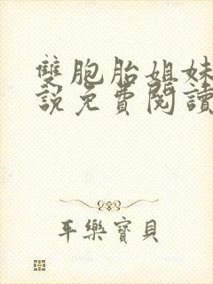 双胞胎姐妹花小说免费阅读