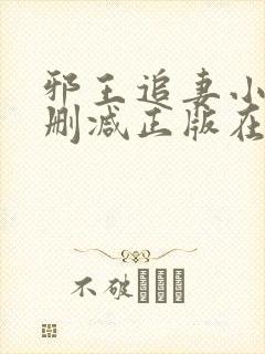 邪王追妻小说无删减正版在线阅读封面