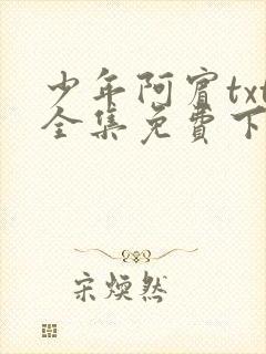 少年阿宾txt全集免费下载