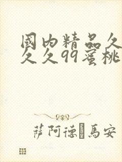 国内精品久久久久久99蜜桃封面