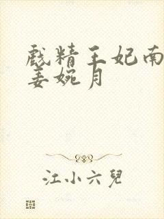 戏精王妃南宫景姜婉月