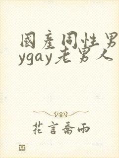国产同性男gaygay老男人封面