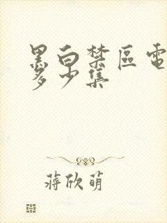 黑白禁区电视剧多少集封面