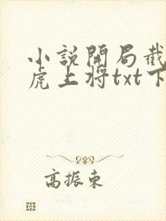 小说开局截胡五虎上将txt下载