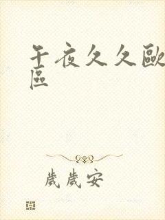 午夜久久欧美一区