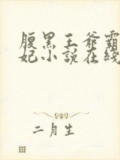 腹黑王爷霸道王妃小说在线阅读