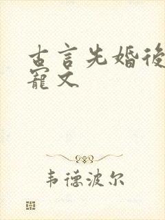 古言先婚后爱甜宠文