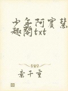 少年阿宾慧钰笔趣阁txt封面