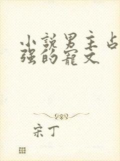 小说男主占有欲强的宠文