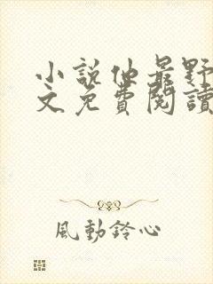 小说他最野了全文免费阅读