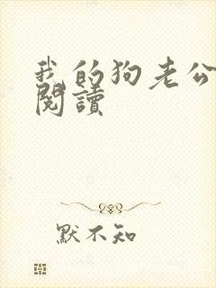 我的狗老公全文阅读