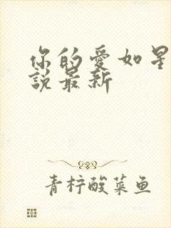 你的爱如星光小说最新