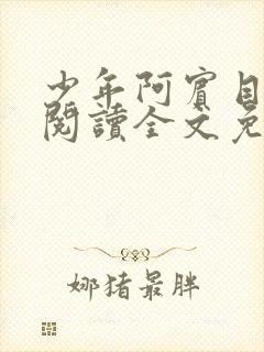 少年阿宾目录线阅读全文免费阅读