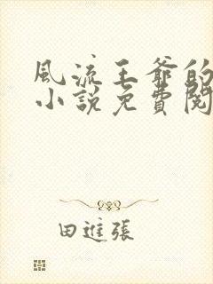 风流王爷的逃妃小说免费阅读