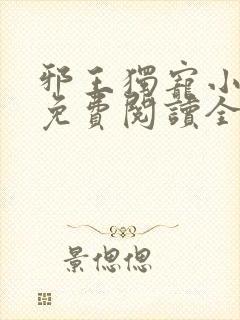 邪王独宠小医妃免费阅读全文