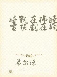 暗战在拂晓之前电视剧在线观看免费封面