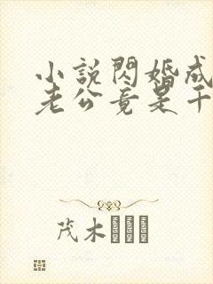 小说闪婚成宠,老公竟是千亿大佬免费下载