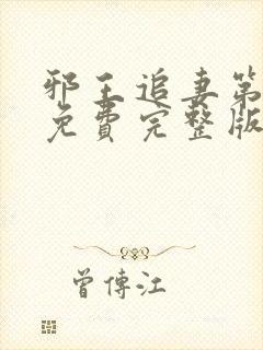 邪王追妻第三季免费完整版