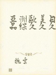 亚洲欧美日韩精品综久久久久久