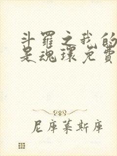 斗罗之我的武魂是魂环免费小说封面