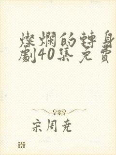 灿烂的转身电视剧40集免费观看高清