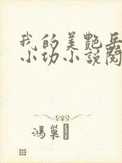 我的美艳岳母朱小功小说阅读封面