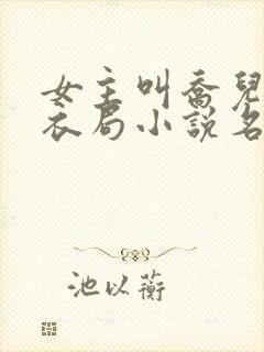 女主叫乔儿的浣衣局小说名字封面