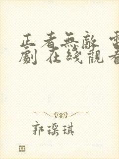 正者无敌 电视剧 在线观看