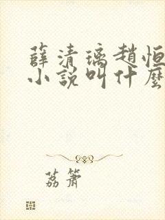 薛清璃赵恒原著小说叫什么封面