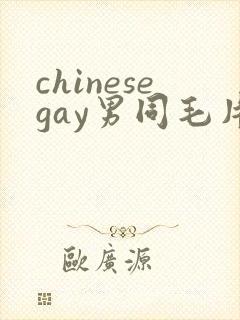 chinesegay男同毛片