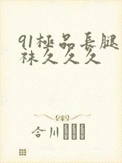 91极品长腿丝袜久久久