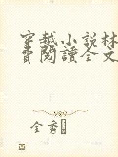 穿越小说林丰免费阅读全文封面