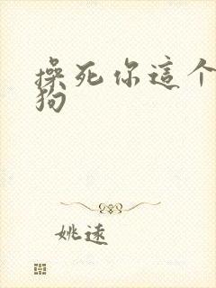 操死你这个小母狗