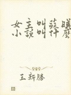 女主叫苏映雪的小说叫什么名字封面