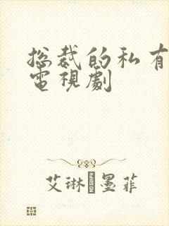 总裁的私有宝贝电视剧