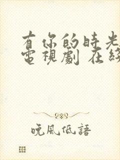 有你的时光里 电视剧 在线观看