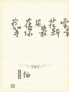 我在风花雪月里等你 最新章节