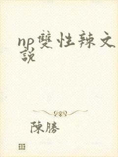 np双性辣文小说