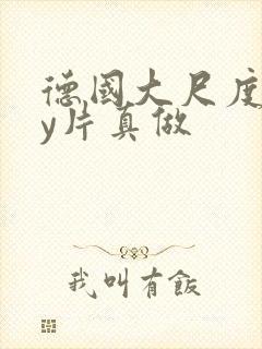 德国大尺度gay片真做