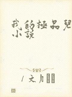 我的极品儿媳妇小说