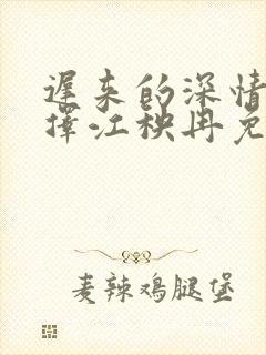 迟来的深情何辰择江秧冉免费阅读