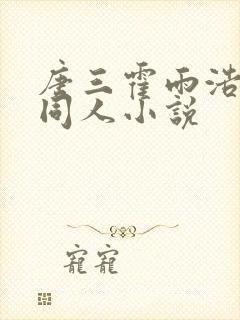 唐三霍雨浩cp同人小说