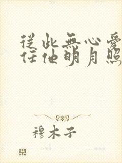 从此无心爱明月任他明月照西楼封面