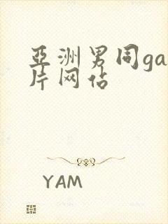 亚洲男同gay片网站