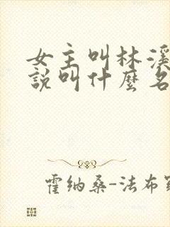 女主叫林溪的小说叫什么名字封面