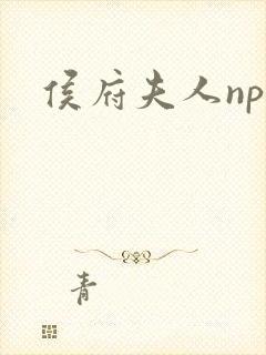 侯府夫人np