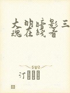 大明暗影三百忠魂在线看