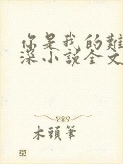 你是我的难得情深小说全文免费阅读封面